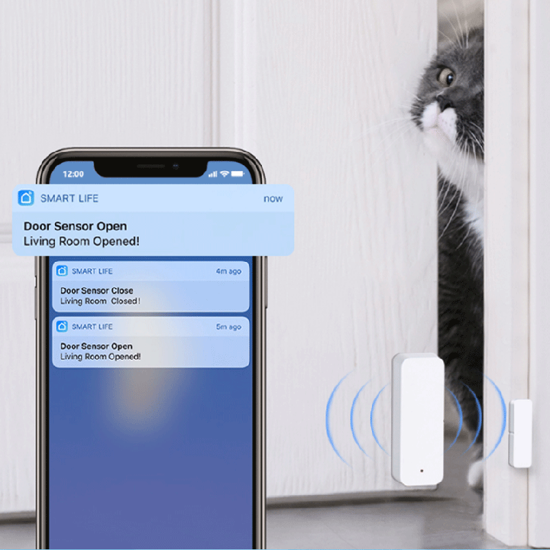 Tuya WiFi Zigbee Door Window S - Smart Home Alexa review and price